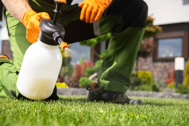 Best Commercial Pest Control Services  in Rosedale, WA