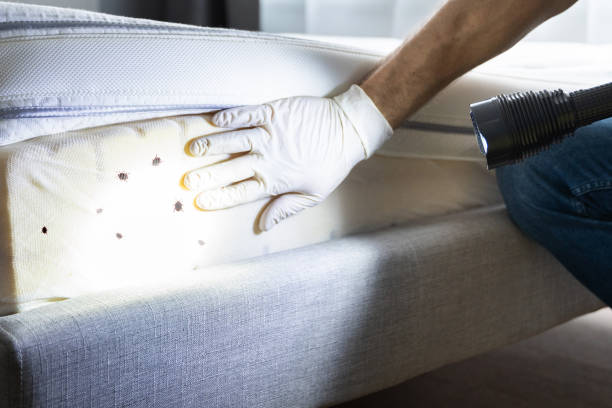 Best Best Pest Control Companies  in Rosedale, WA