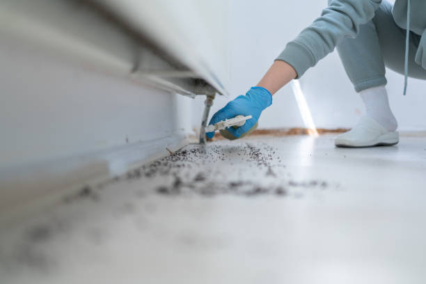 Pest Control for Restaurants in Rosedale, WA